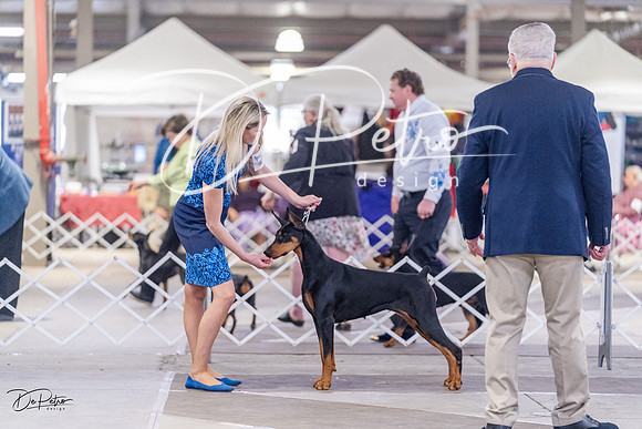 20230331-DSC03762