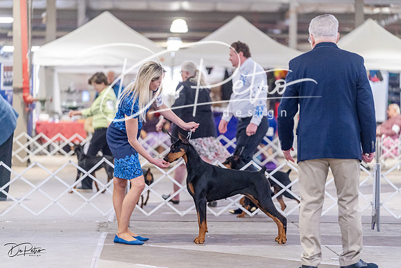 20230331-DSC03763