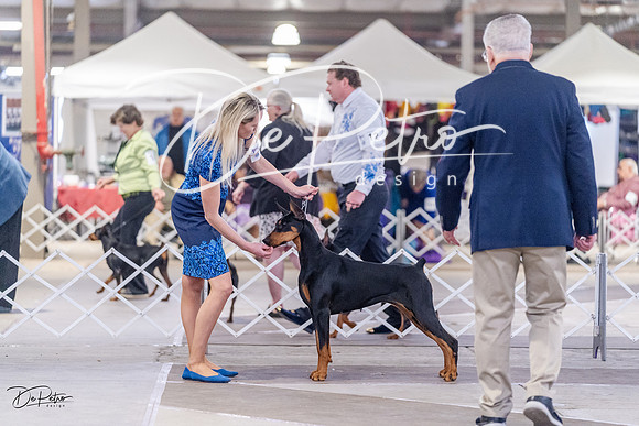20230331-DSC03765