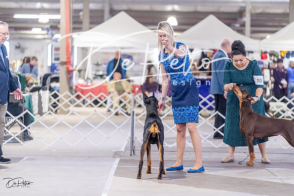 20230331-DSC03797