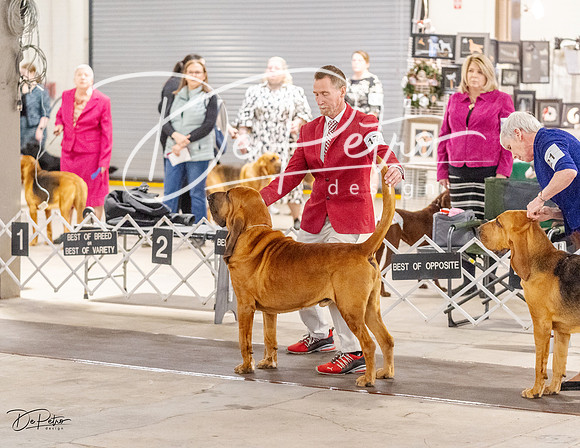 20230331-DSC03164