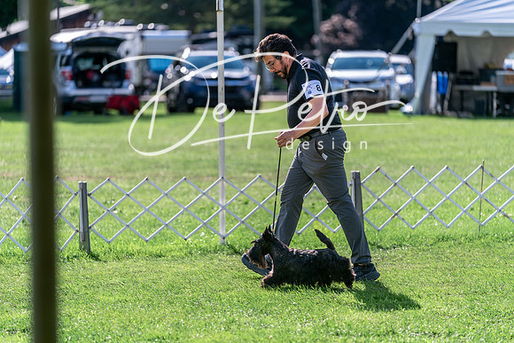 20240630-DSC05125