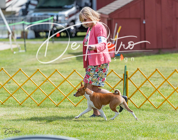 20230513-DSC09649