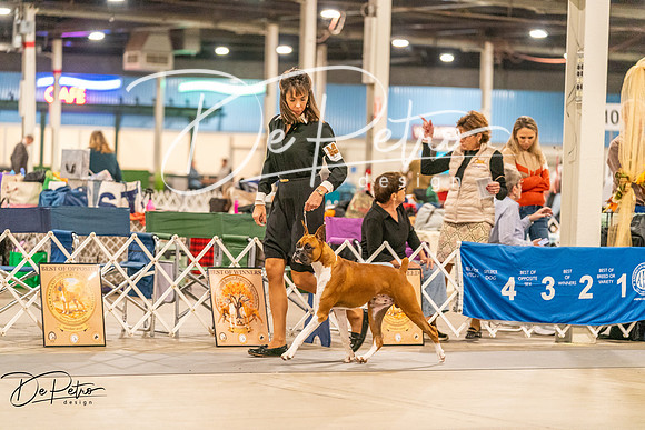 20261022-DSC01034