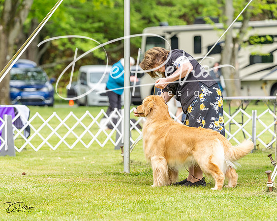 20230427-DSC03374
