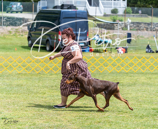 20230513-DSC08489