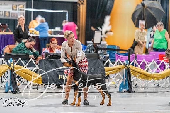 20261001-DSC07322