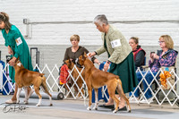 20261023-DSC04890