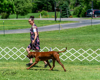 20250629-DSC09452