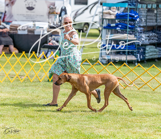 20230513-DSC09534