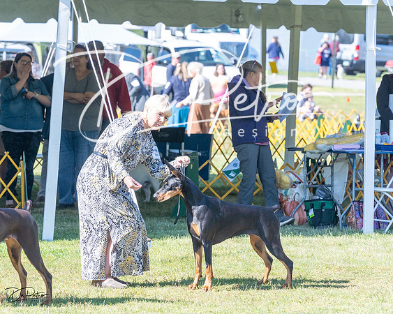 20230514-DSC02759