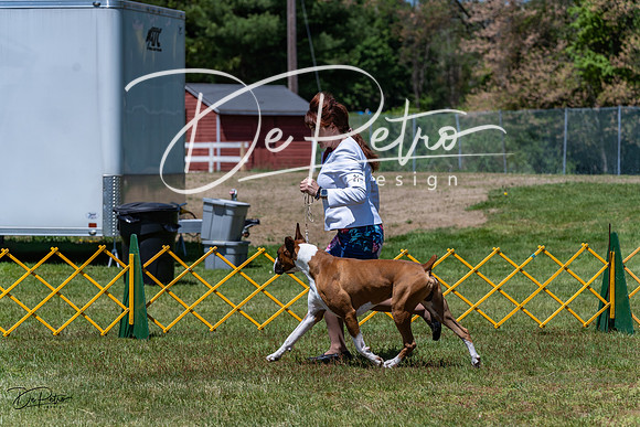 20230514-DSC04322