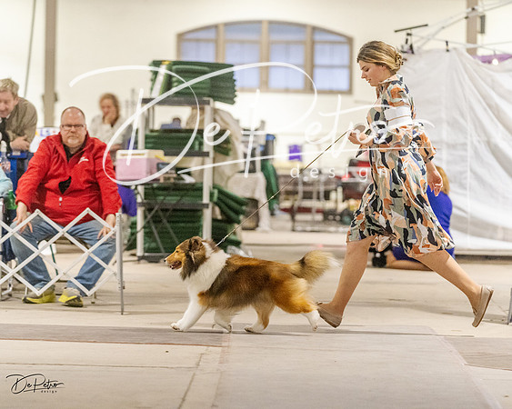 20230401-DSC07977