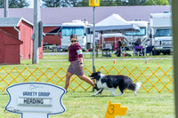 20230512-DSC05370