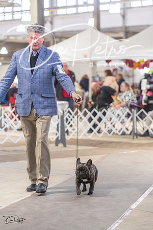 20230331-DSC04401