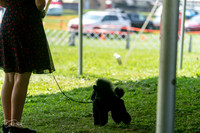 20240816-DSC00145