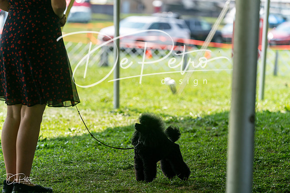 20240816-DSC00145