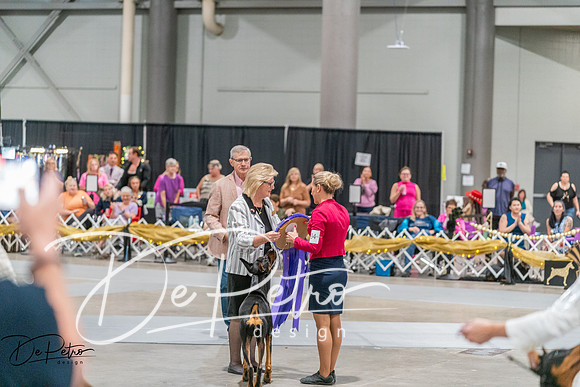 20260927-DSC05265