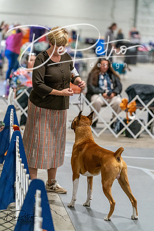 20261023-DSC05699