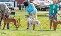 20230513-DSC09359