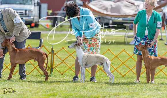 20230513-DSC09359