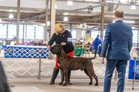 20230331-DSC05385