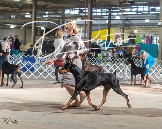 20230402-DSC09048