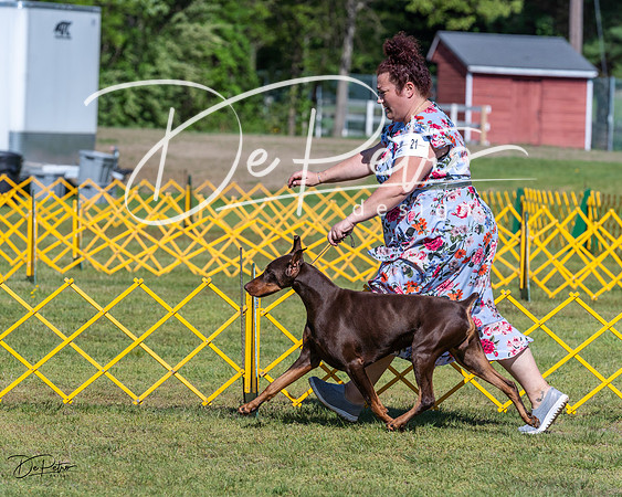 20230514-DSC02987