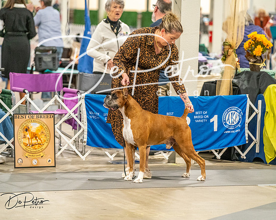 20261022-DSC02035