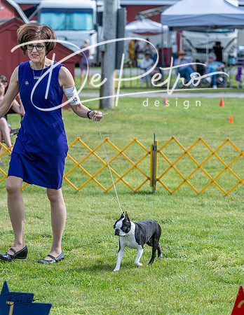 20230513-DSC00418