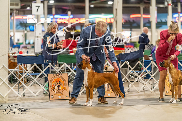 20261023-DSC05237