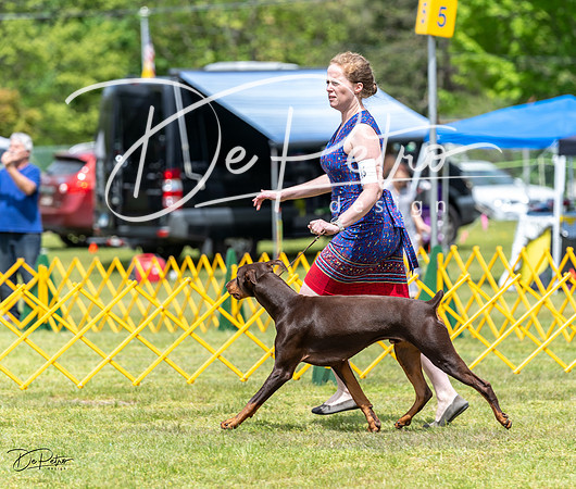20230513-DSC08202