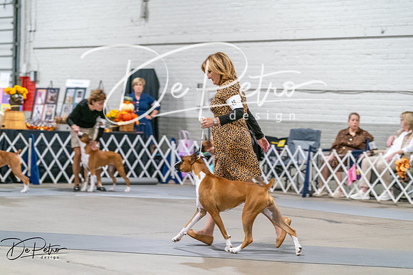 20261022-DSC00157