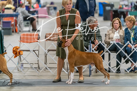 20261023-DSC05523