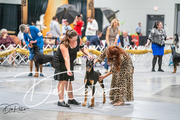 20260926-DSC04169