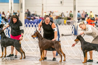 20261024-DSC00570