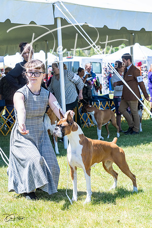 20230514-DSC04461