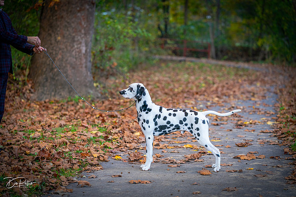 20261017-DSC09166