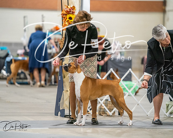 20261022-DSC03247