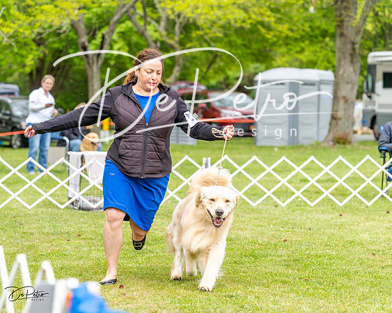 20230427-DSC03366