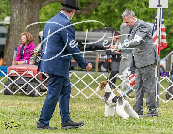 20230427-DSC07430