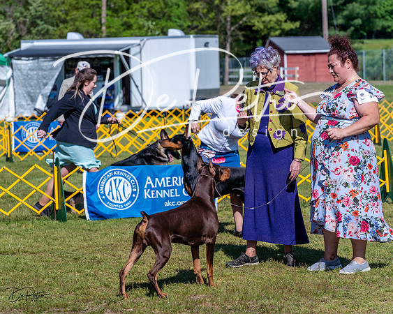 20230514-DSC03161