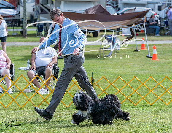 20230513-DSC00337