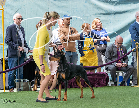 20230509-DSC01115