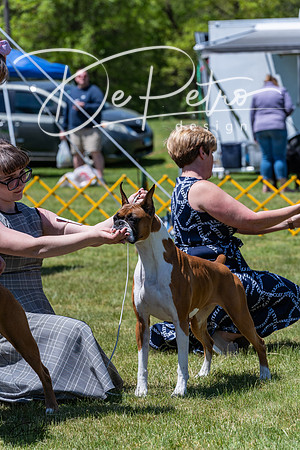 20230514-DSC04600