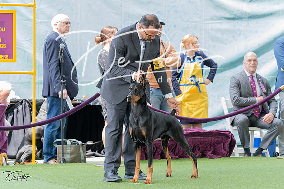 20230509-DSC01088