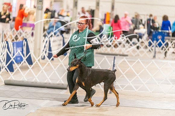 20261024-DSC00955