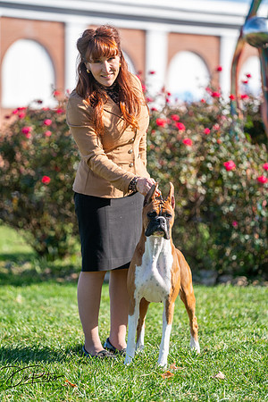 20261024-DSC01043