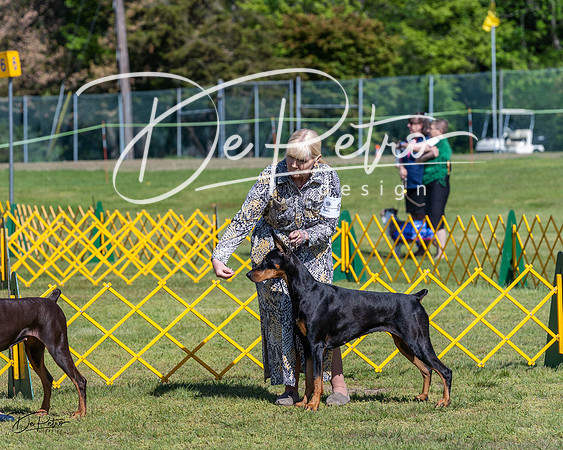 20230514-DSC02931