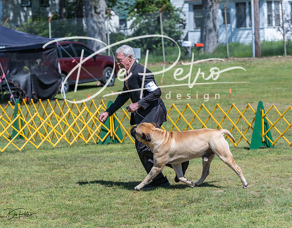 20230514-DSC03675